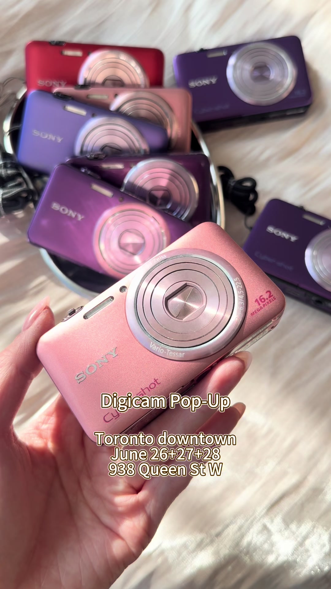@shutterbug_cameras