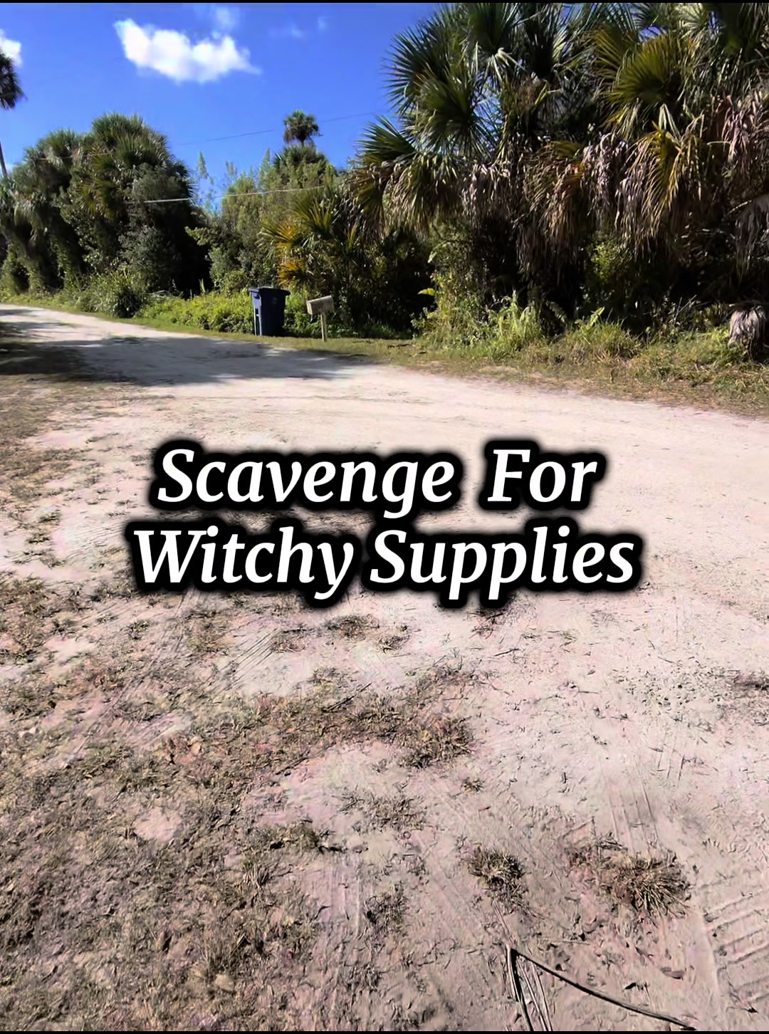 @The Witchy Cornerstore