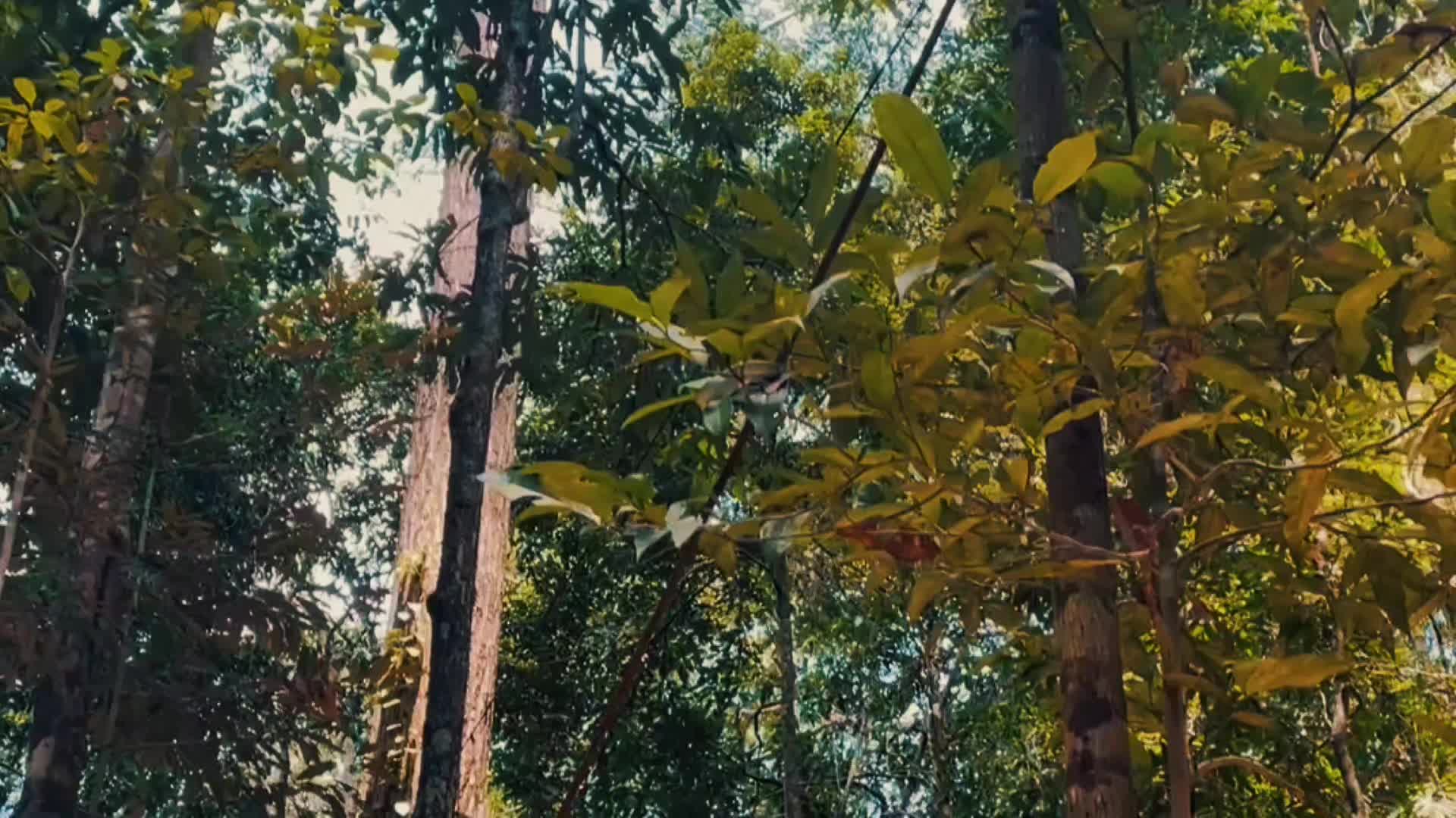 @axdxl