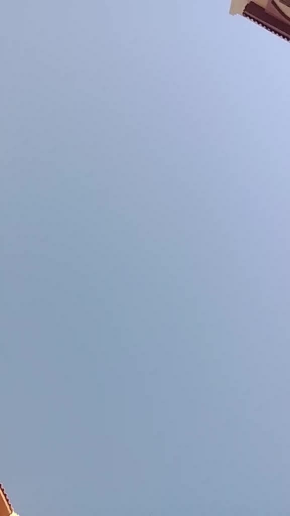 @𝑬𝒍𝒂𝒇 🤎