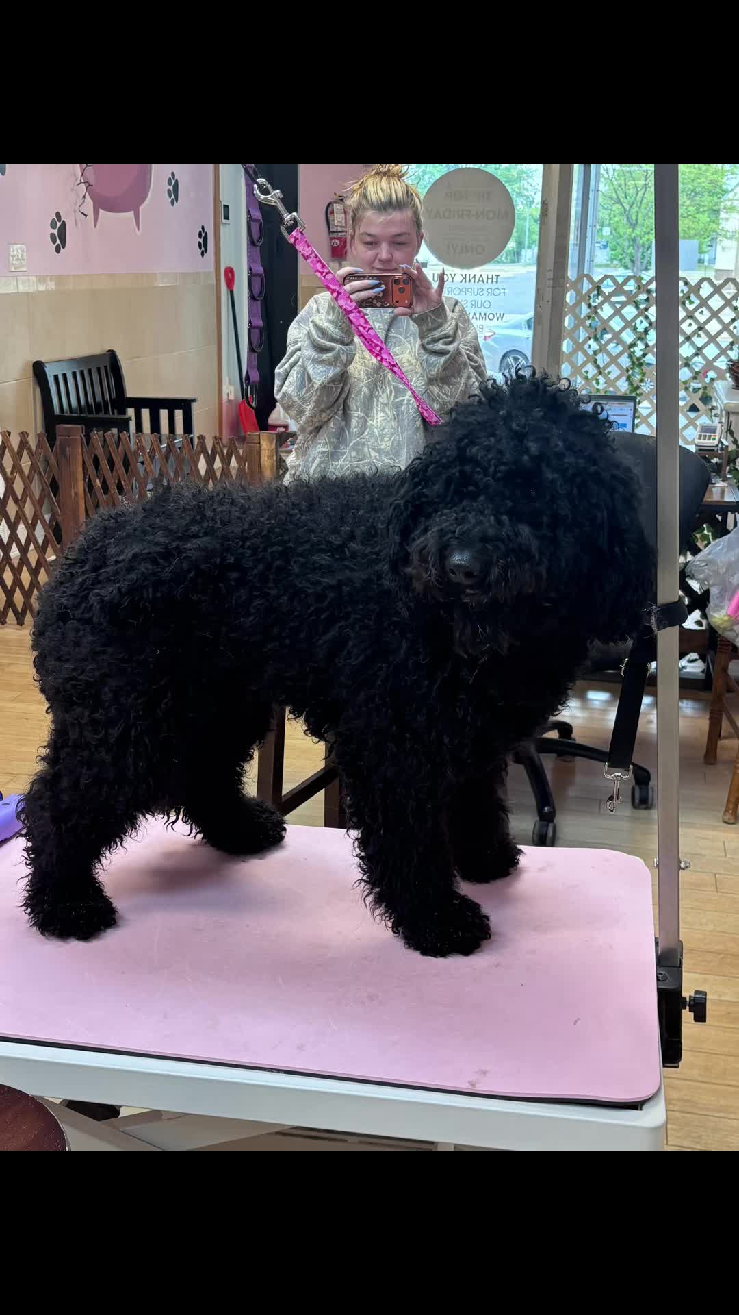 @Grooming By Tip Top