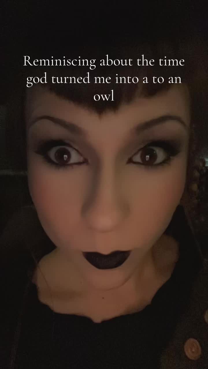 @coletteyspaghetti8