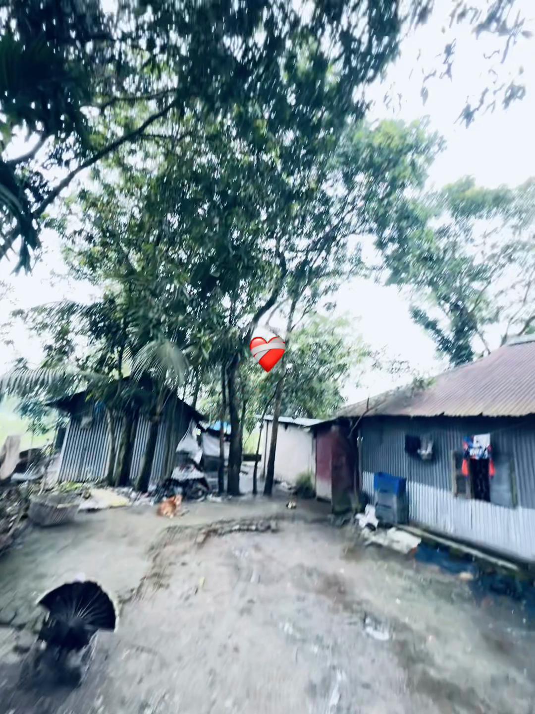 @পরিবারের ছোট ছেলে..🙂🥀