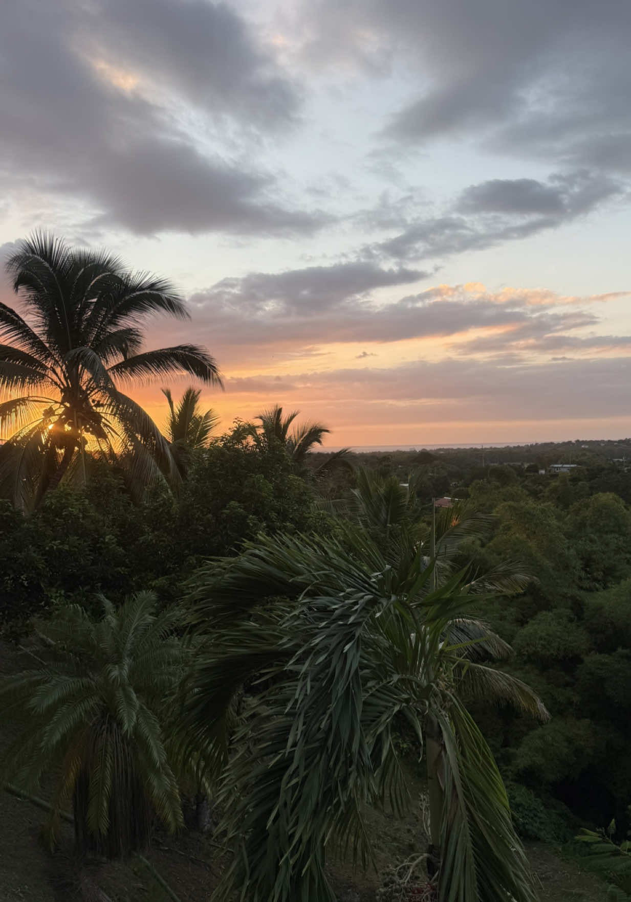 @Belton Tyrone 🇵🇷