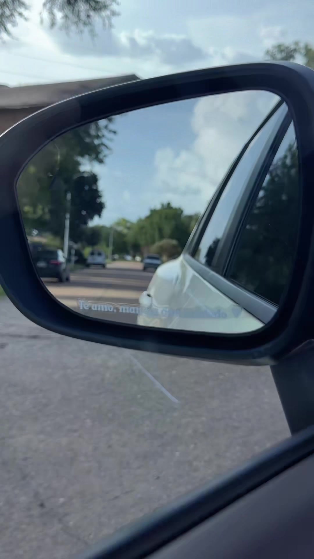 @Bubbles 🫧🧸