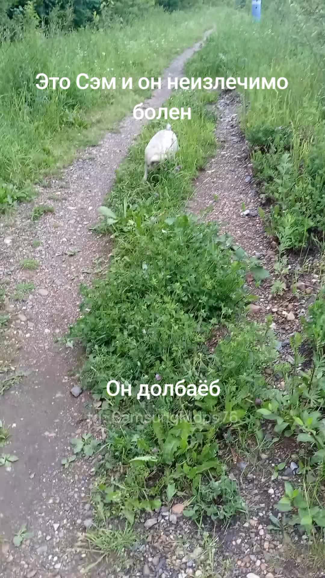 @tg: SamMops76