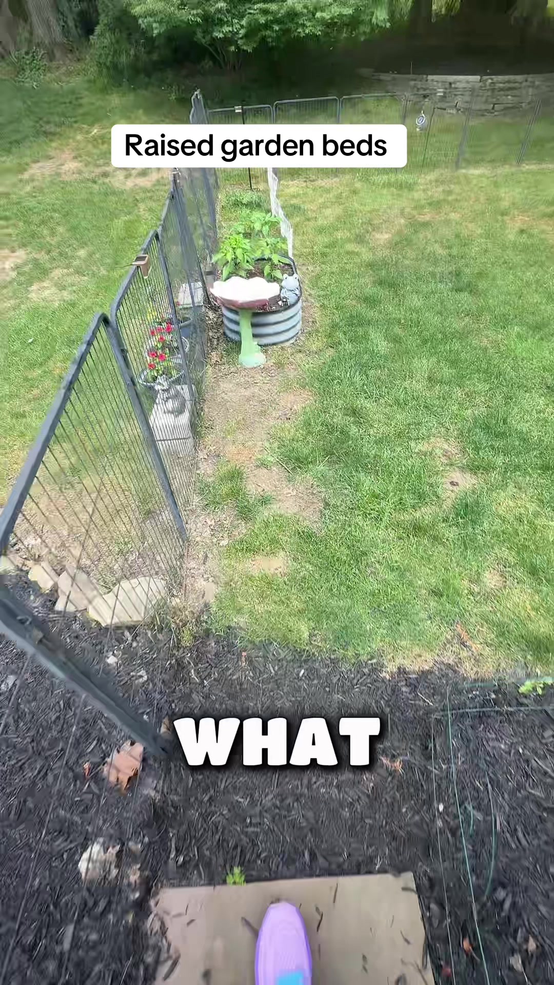 @Queenlovefrogs