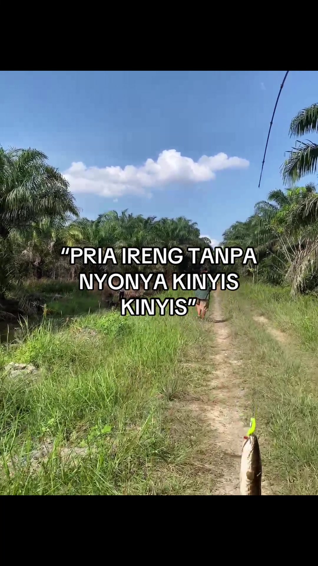 @BAIHAKI