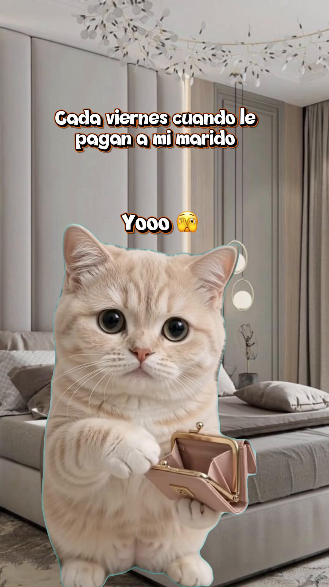 @Fabiola🇬🇹