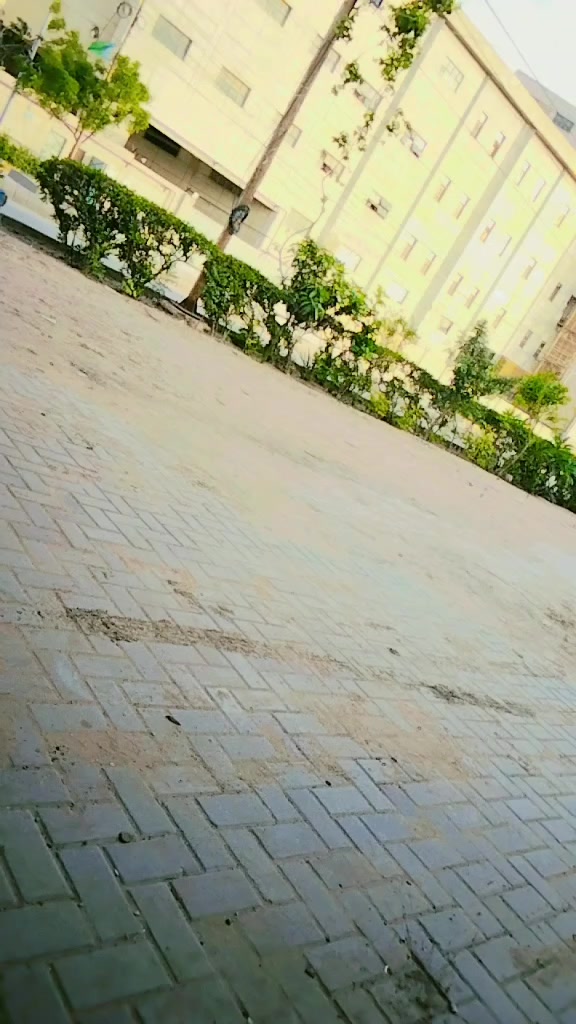 @narain Kumar Makwana