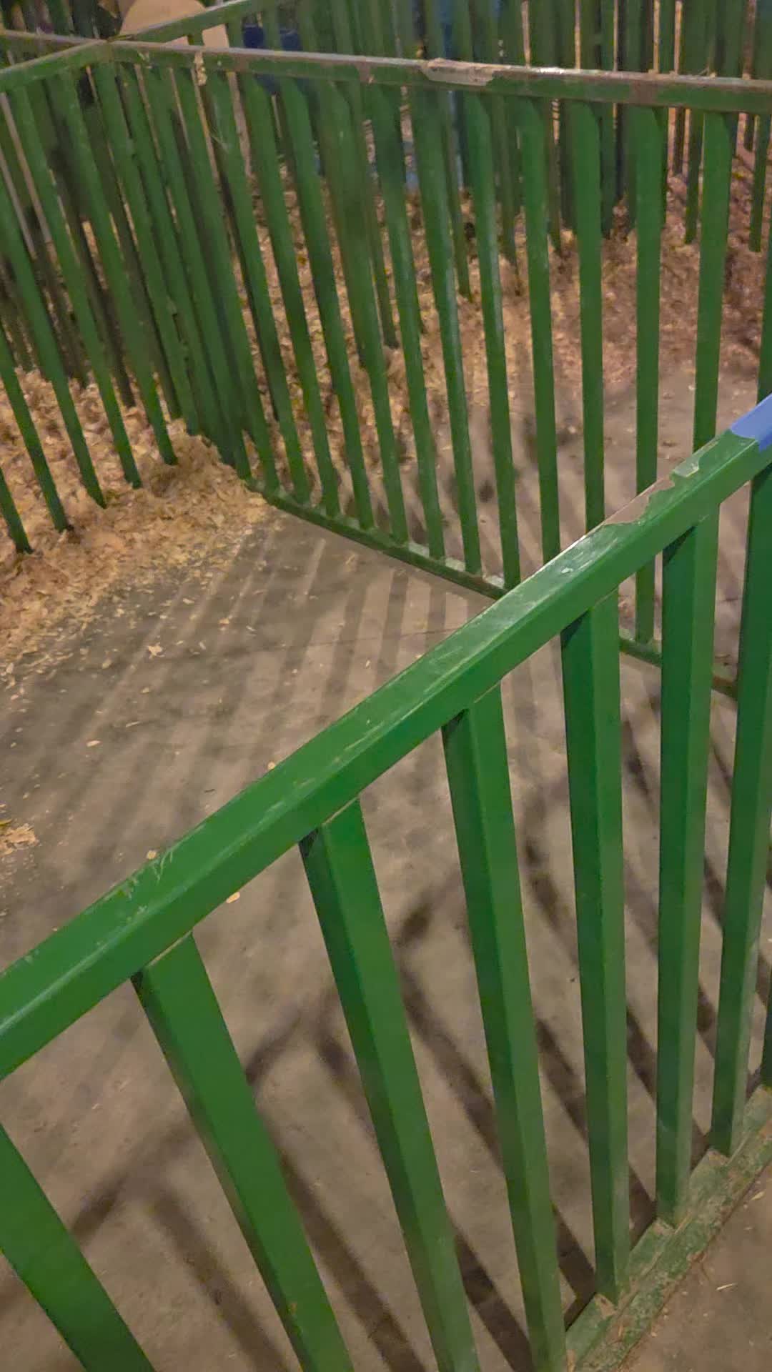 @Jaqdavid5