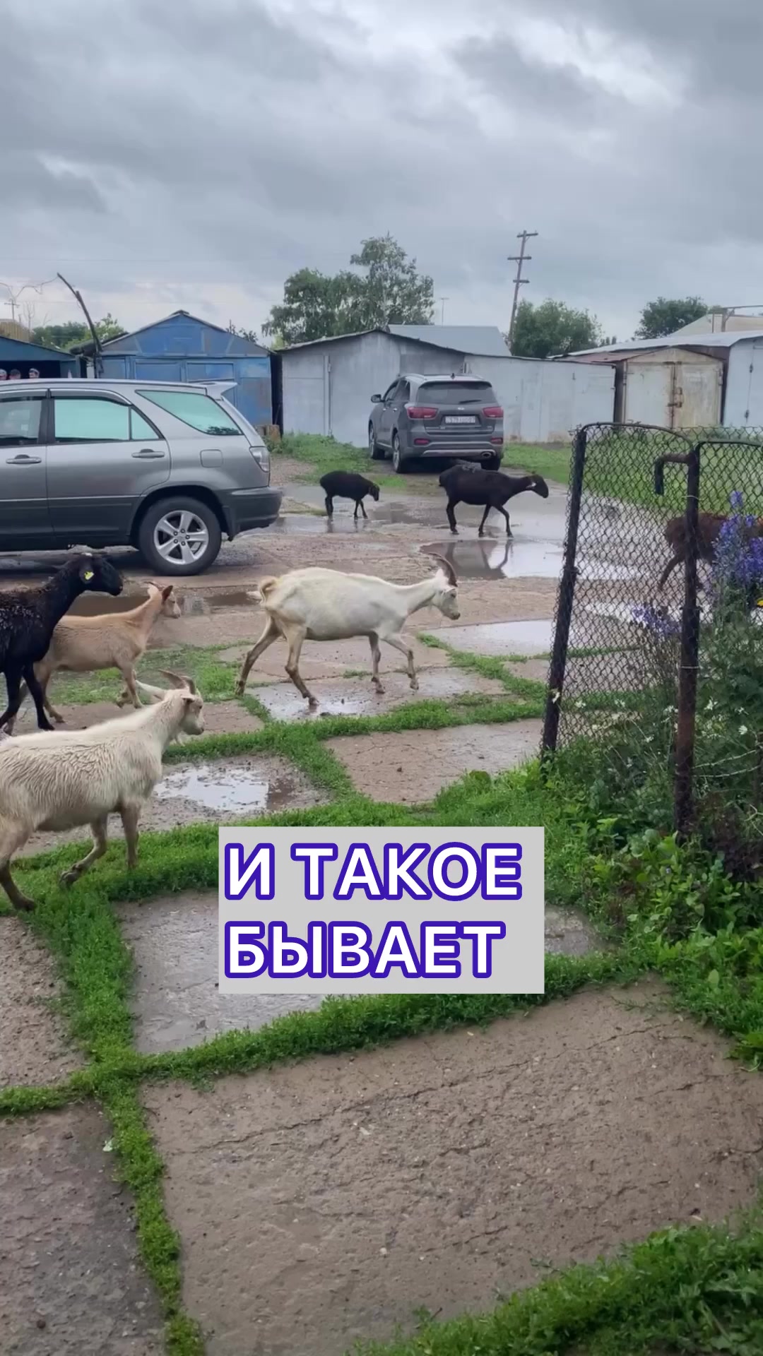 @Уральск в Онлайне