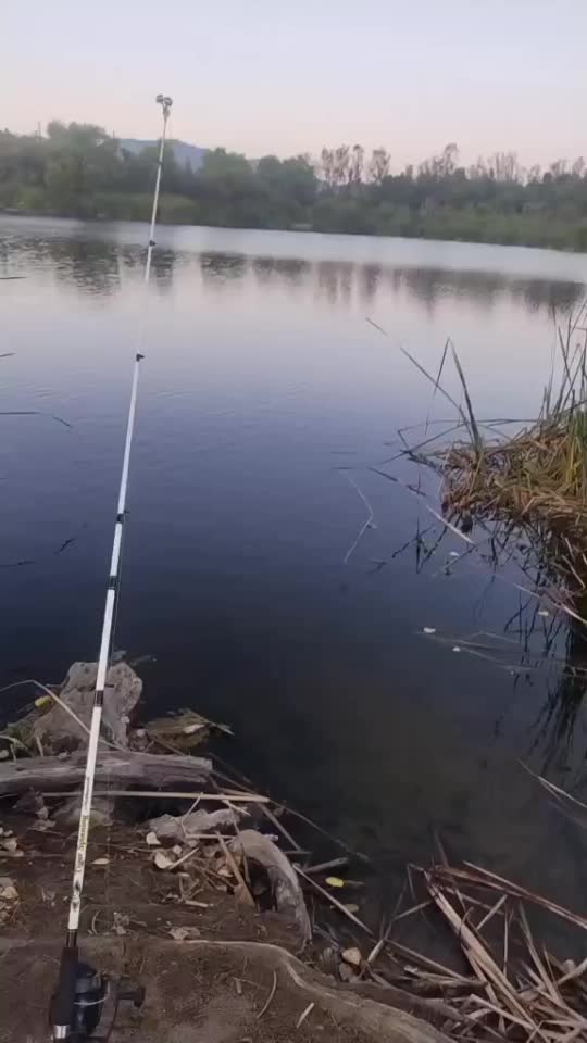@RingDoorBellVideos