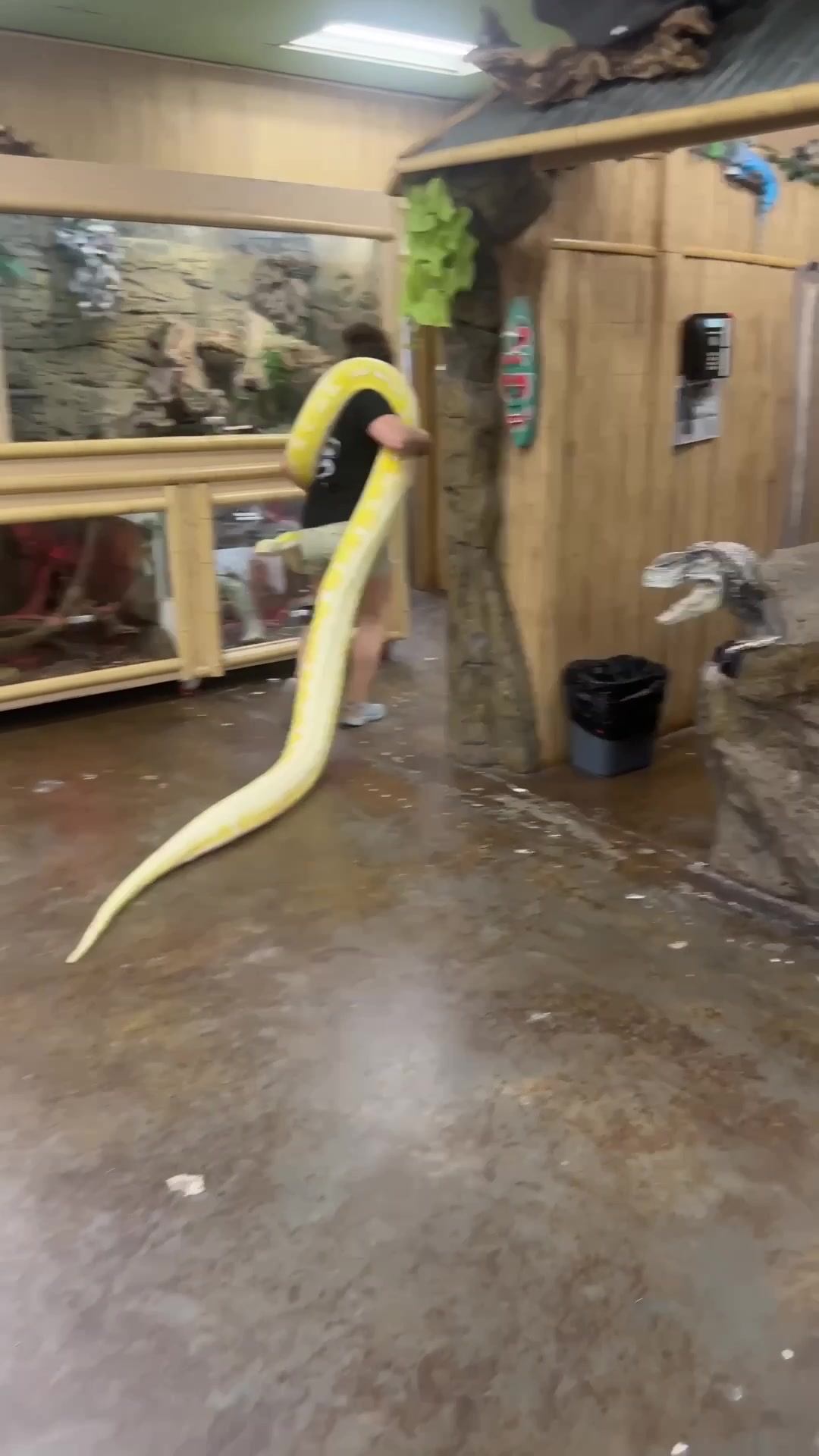 @The Reptile Zoo
