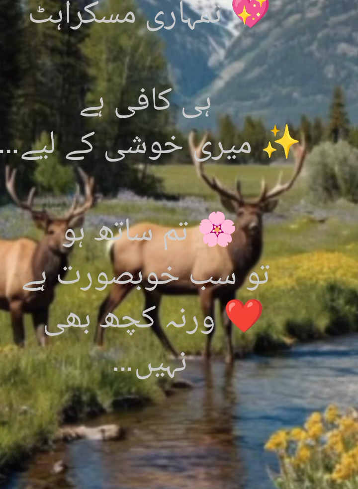 @ALIZA💔