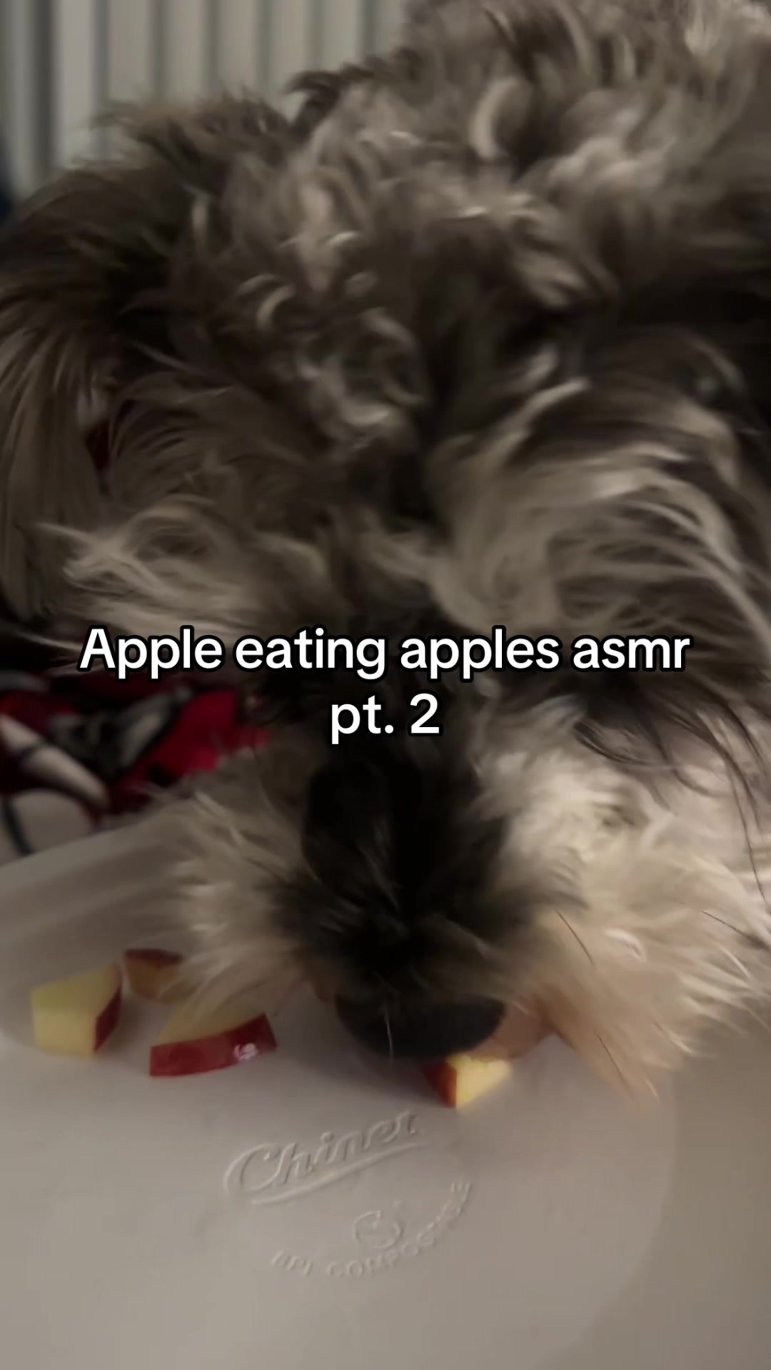 @Apple 🍎