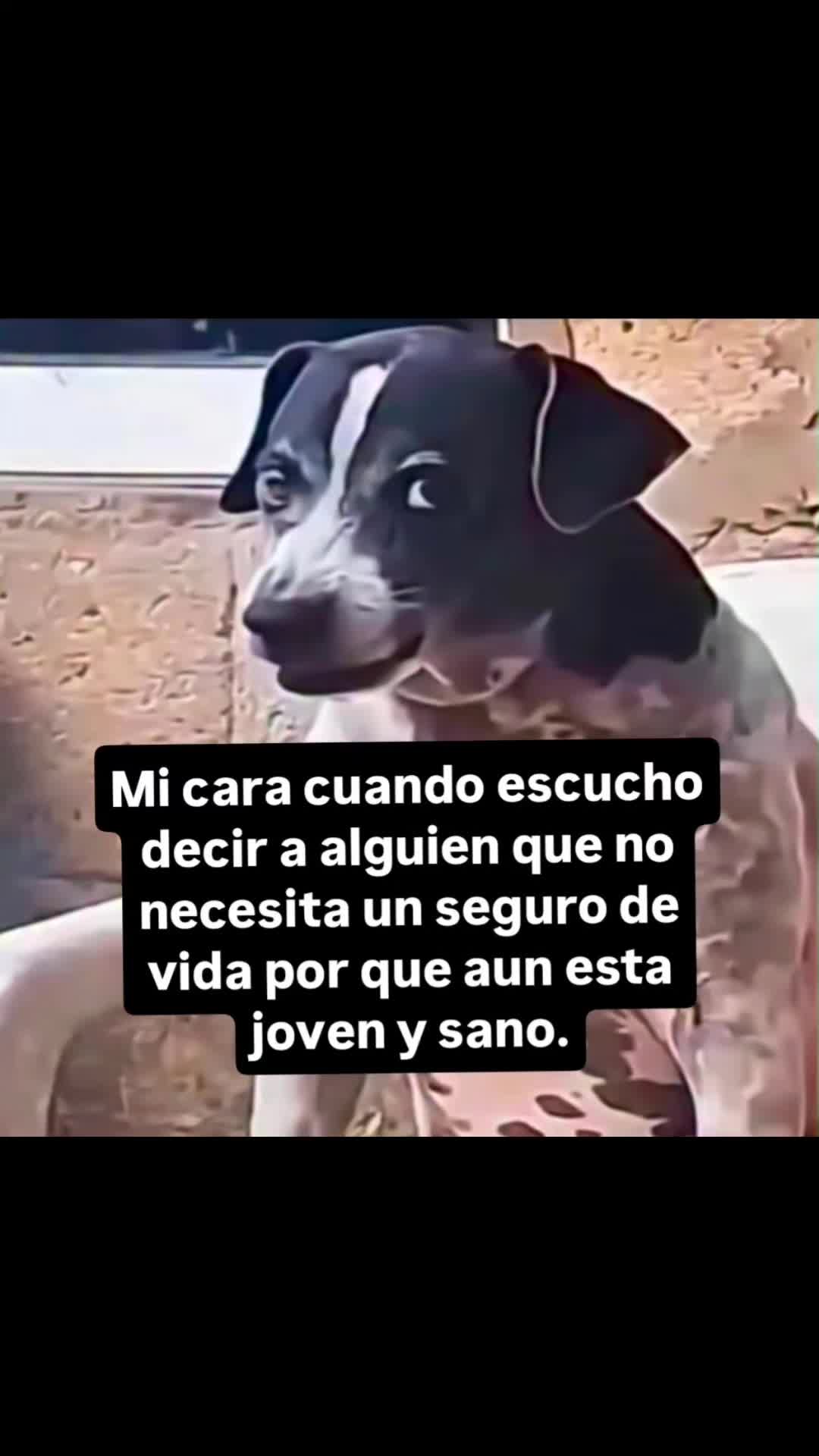 @Pilar ariza