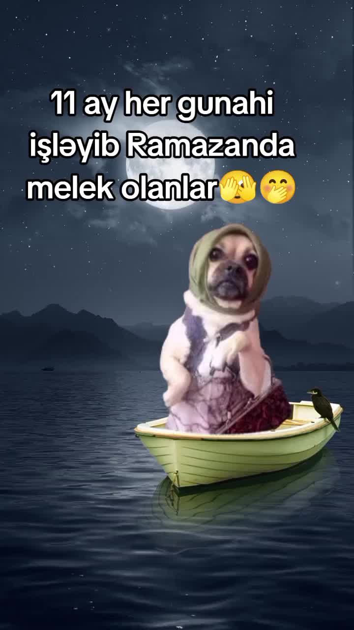 @꧁⫸࿐Əsirlər karvanı࿐⫷꧂