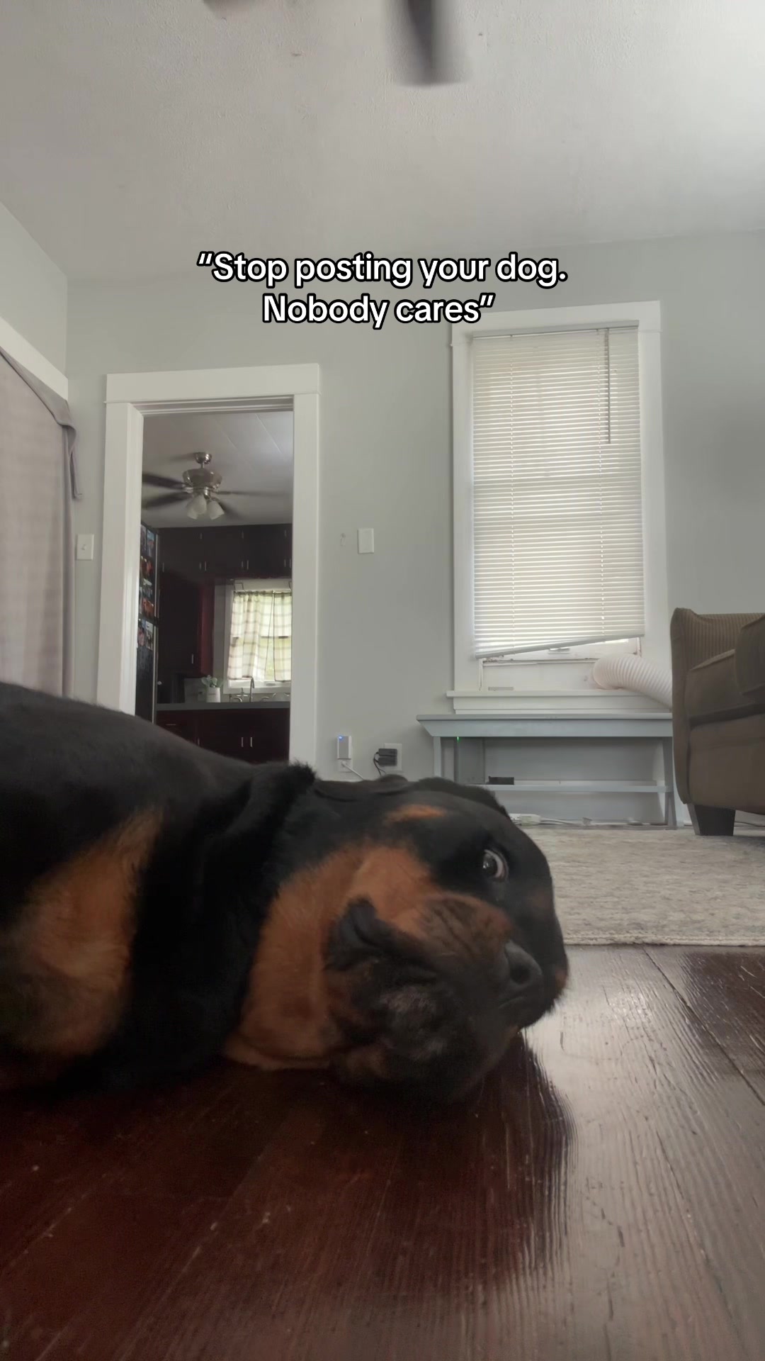 @Kasey the Rottie