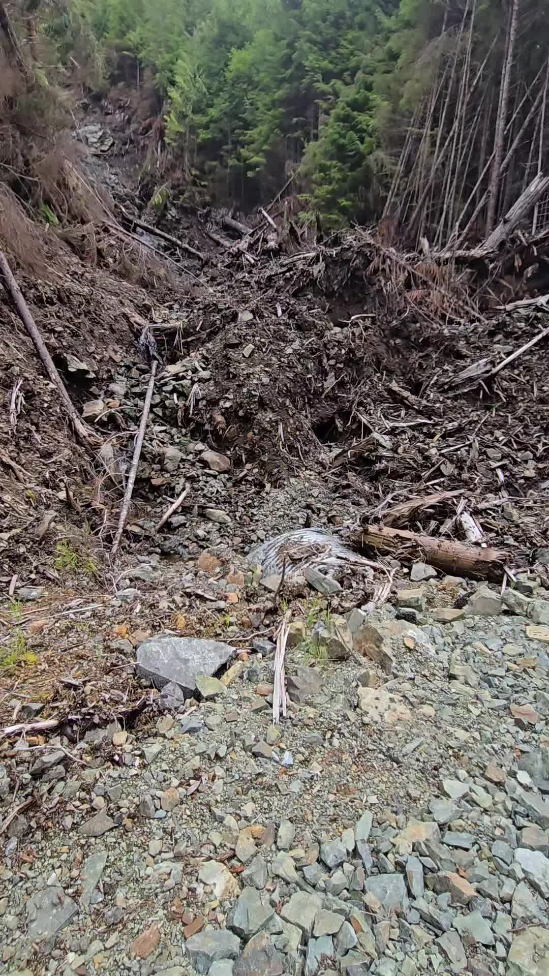@Alaska's jim stone living wild