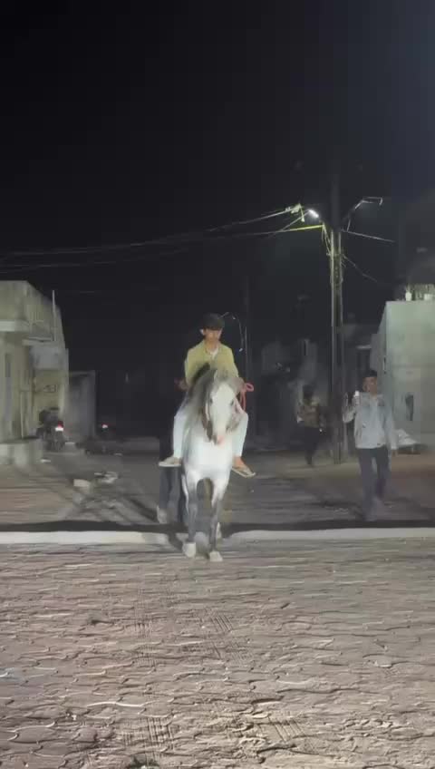 @vishal Patel 🐎 🐎 🐎