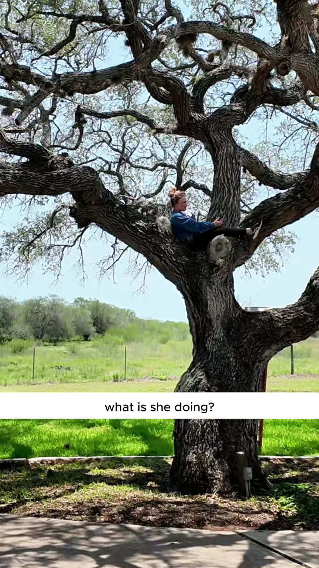 @Paige Shay