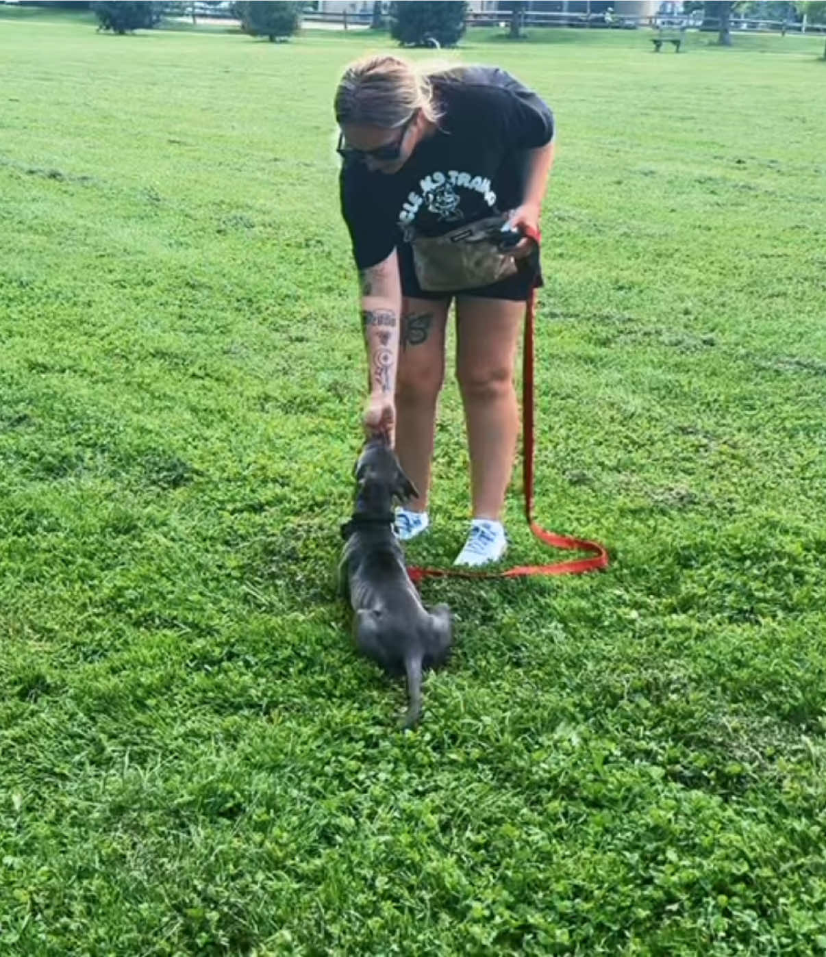 @Miracle K9 Training