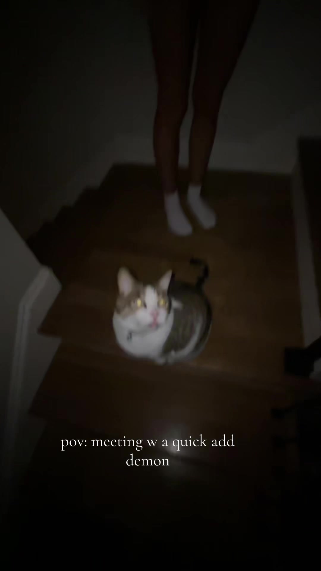 @😻