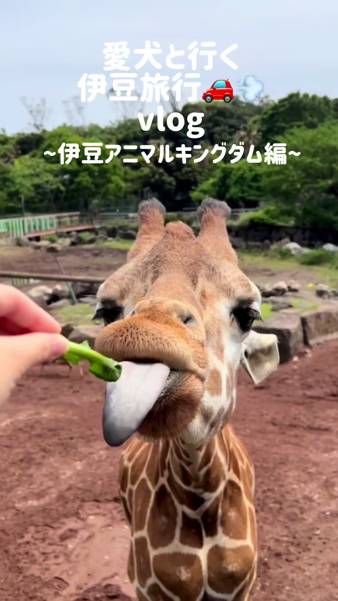 @kokolog / ココログ