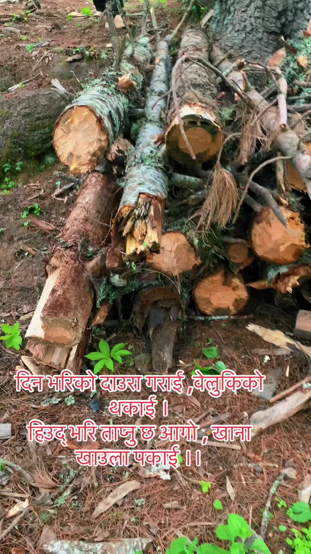 @M&hellip;.Anil kumar