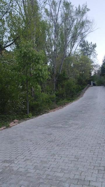 @Adnan Pişken