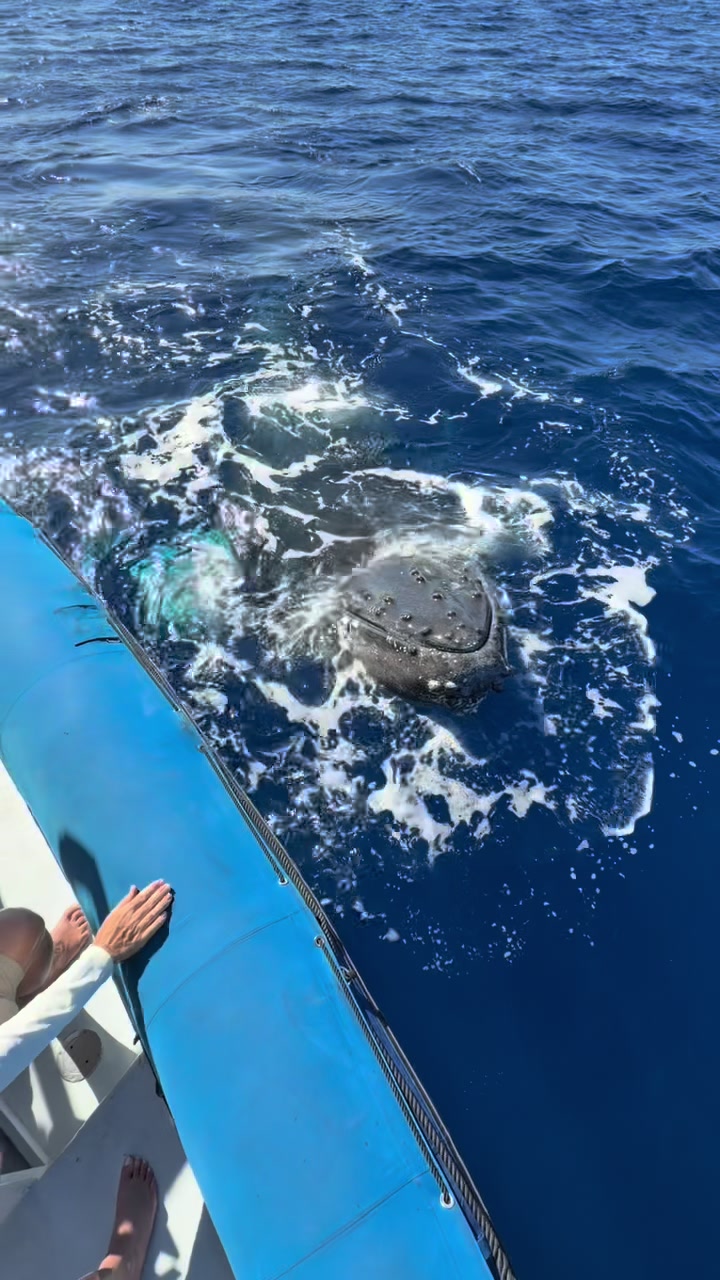@Hawaii Ocean Rafting