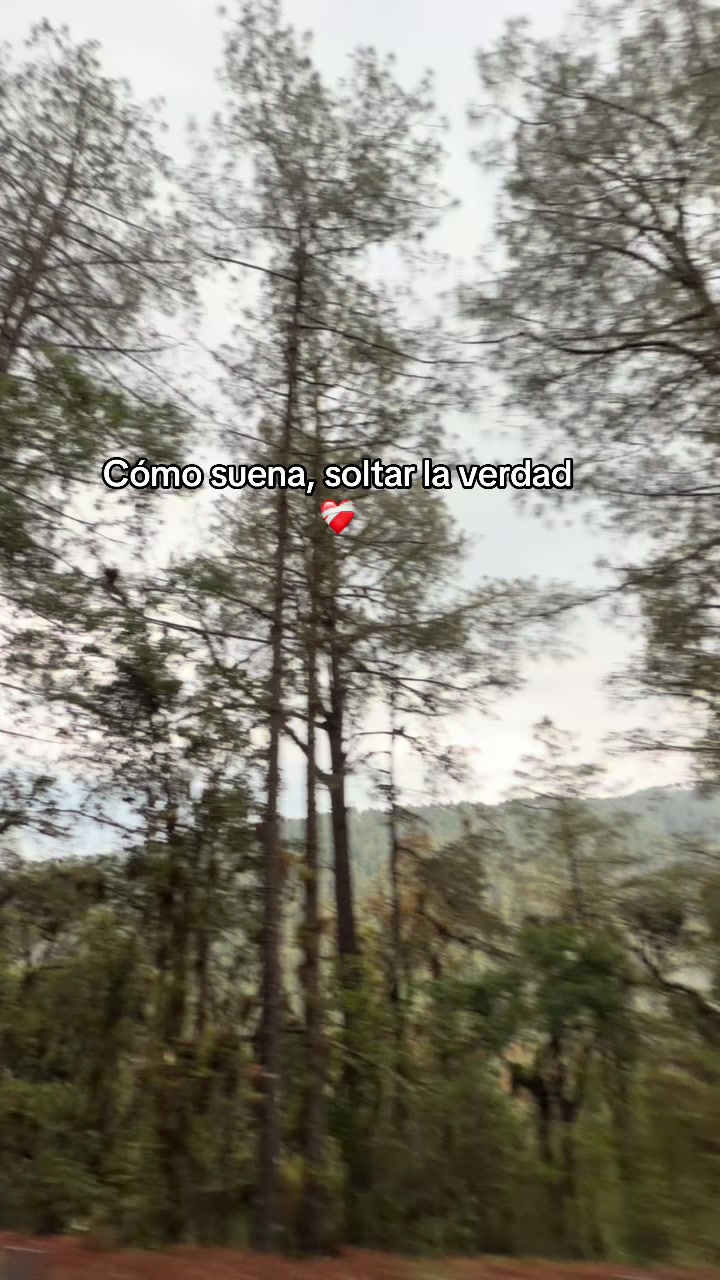@Ali Gomez