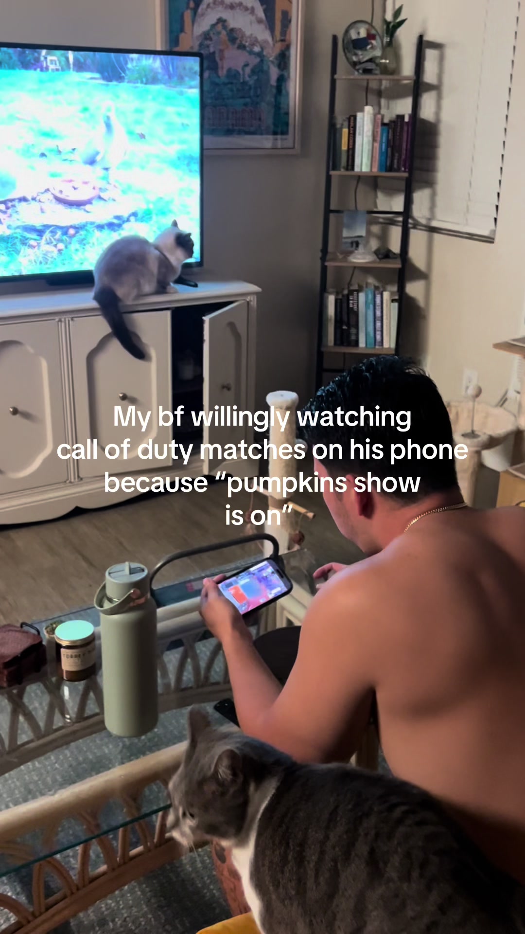 @Mel