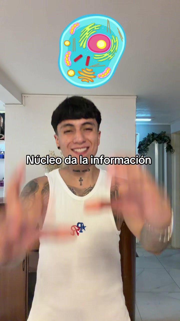 @ENDOBOY