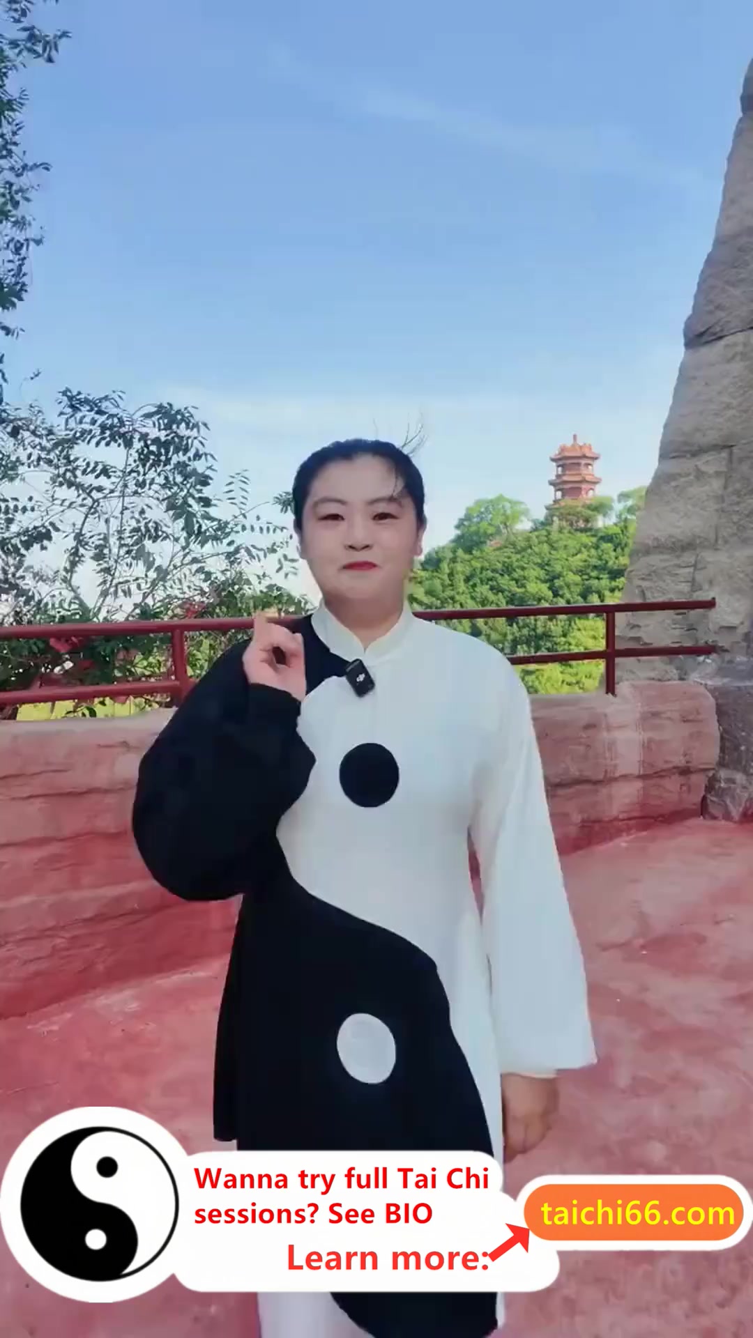 @HuaKai Taichi