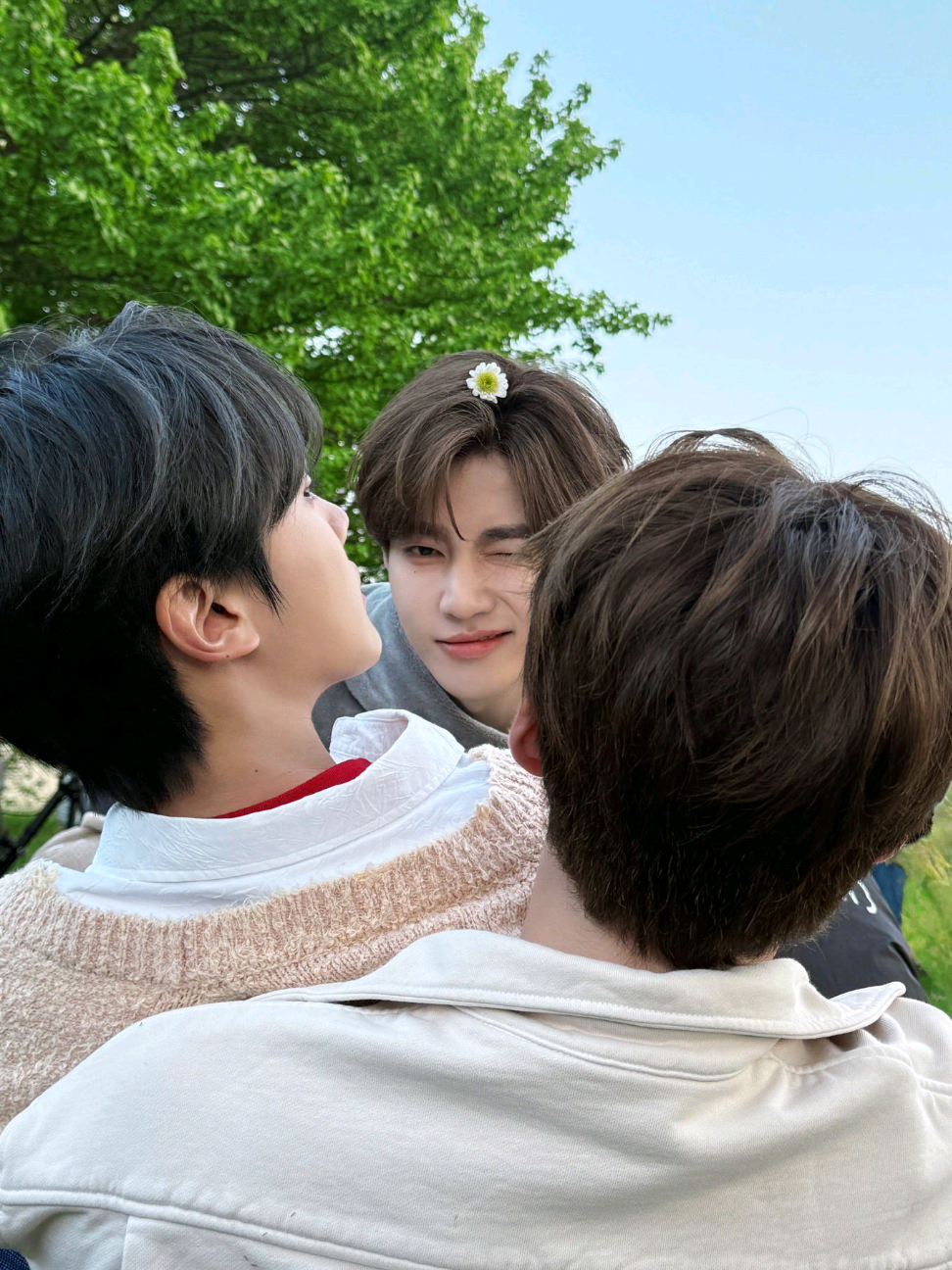 @daisy❀