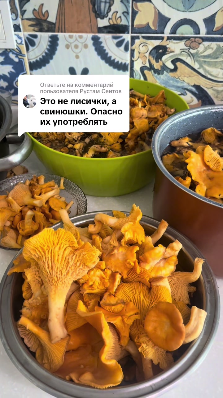 @Аренда апартаментов в Боровом.
