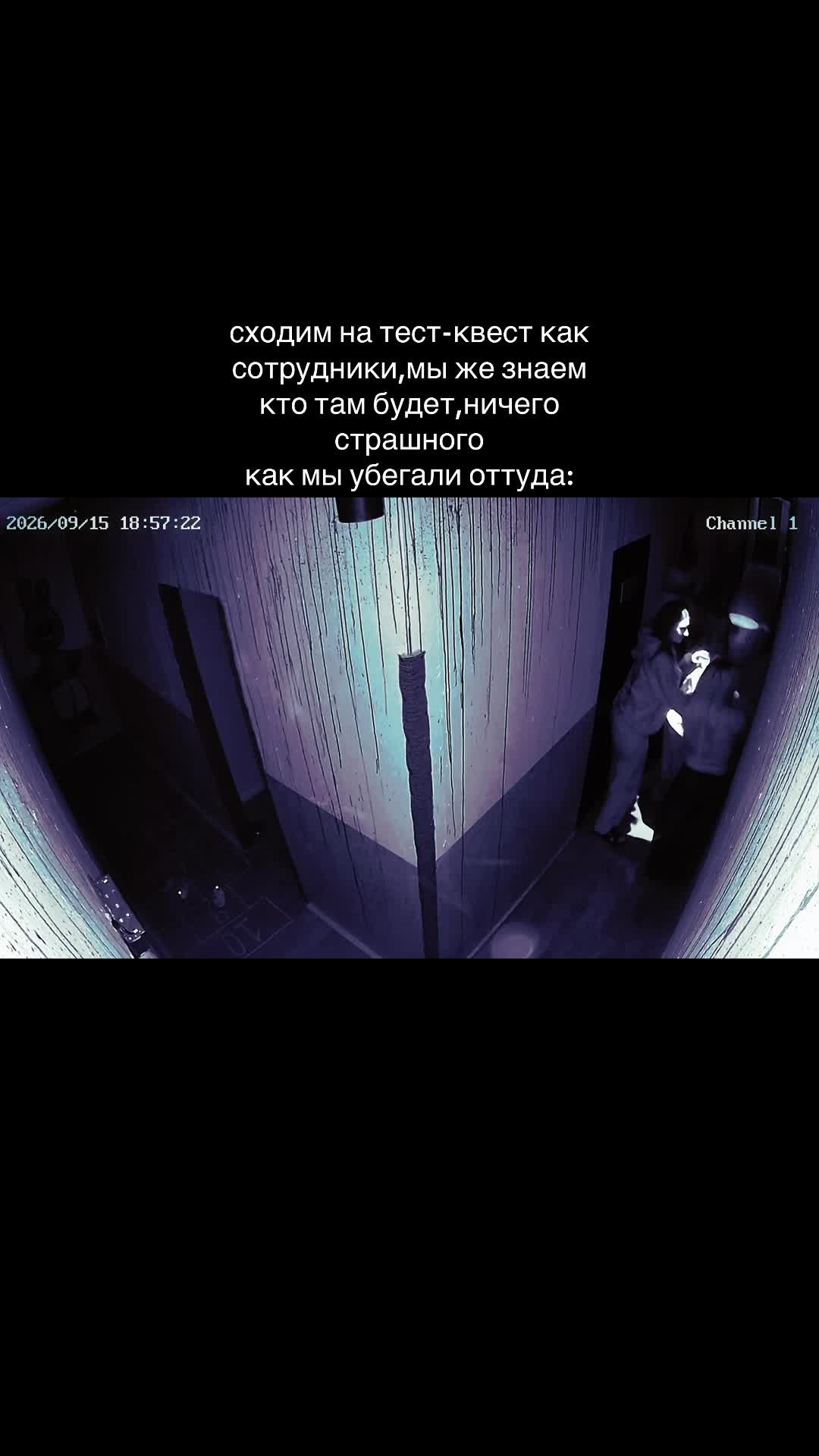 @мяу