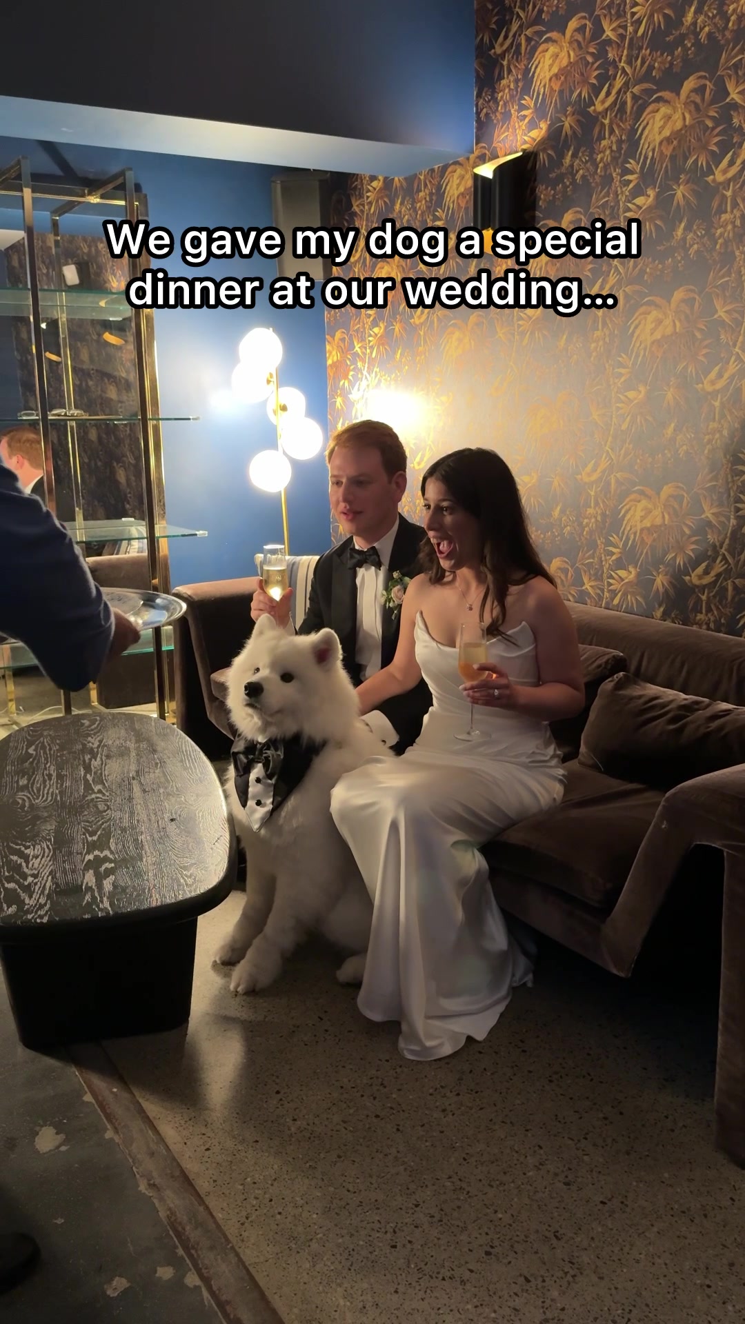 @littlebearlumi