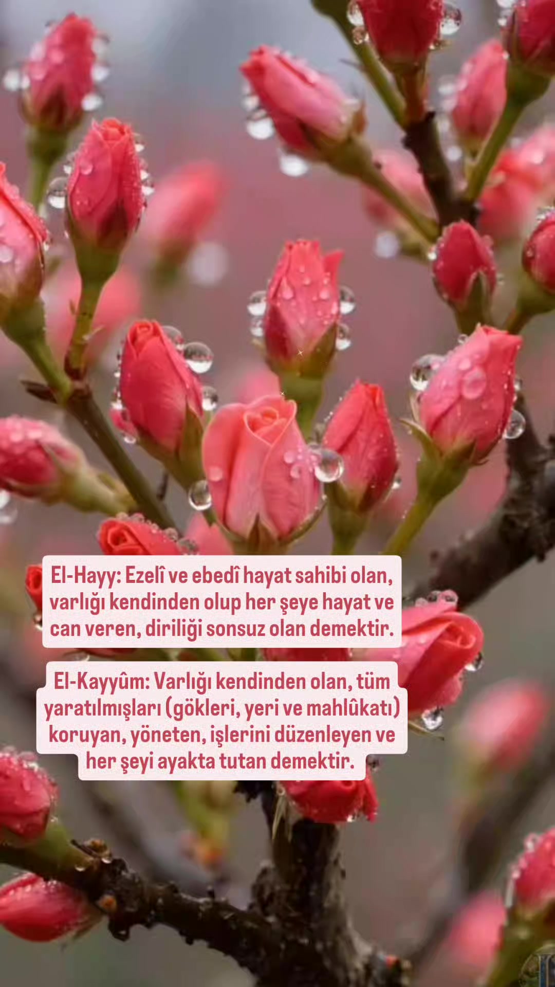 @hayat nereye gidiyor
