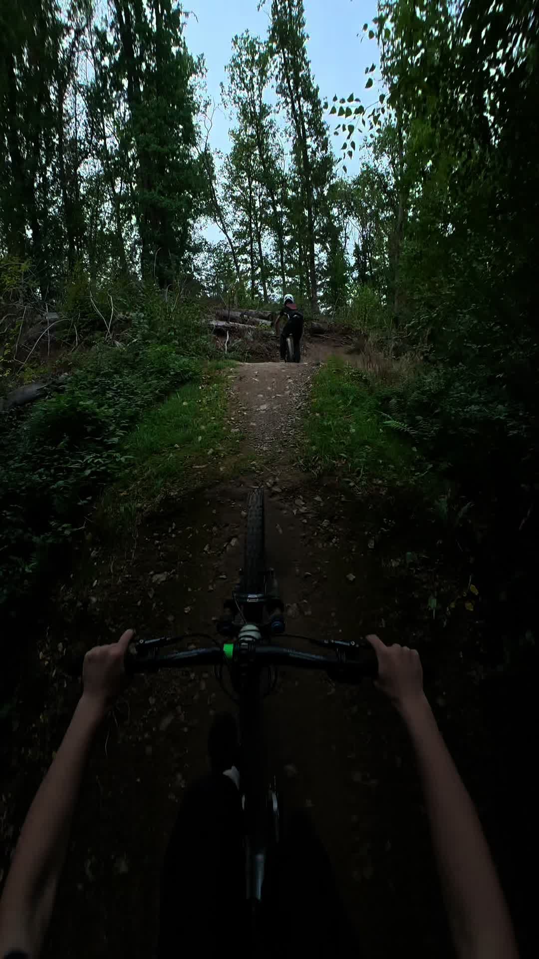 @Freeride_lion2