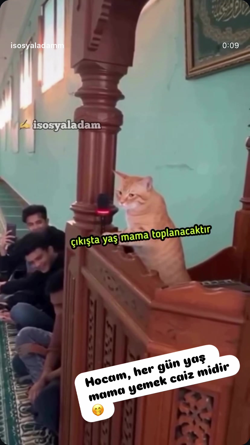 @Şapkalı Kadın