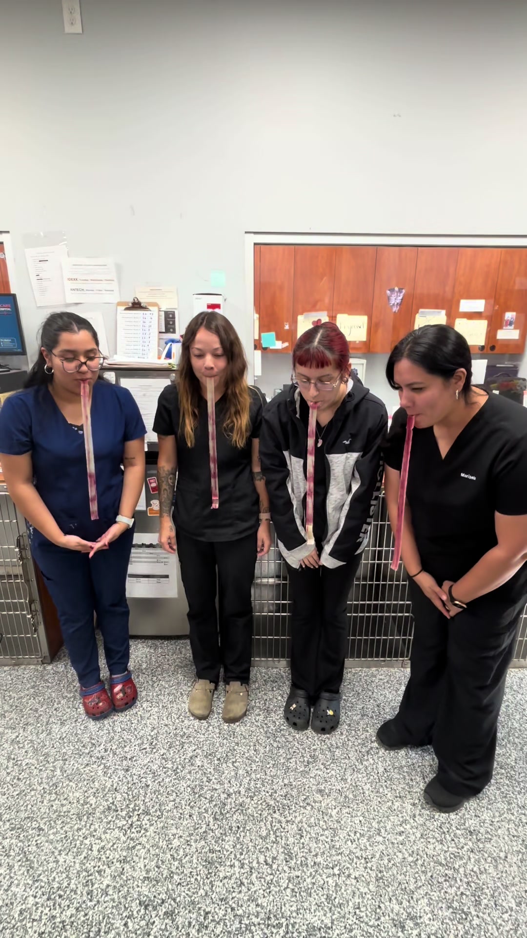 @911vetcare