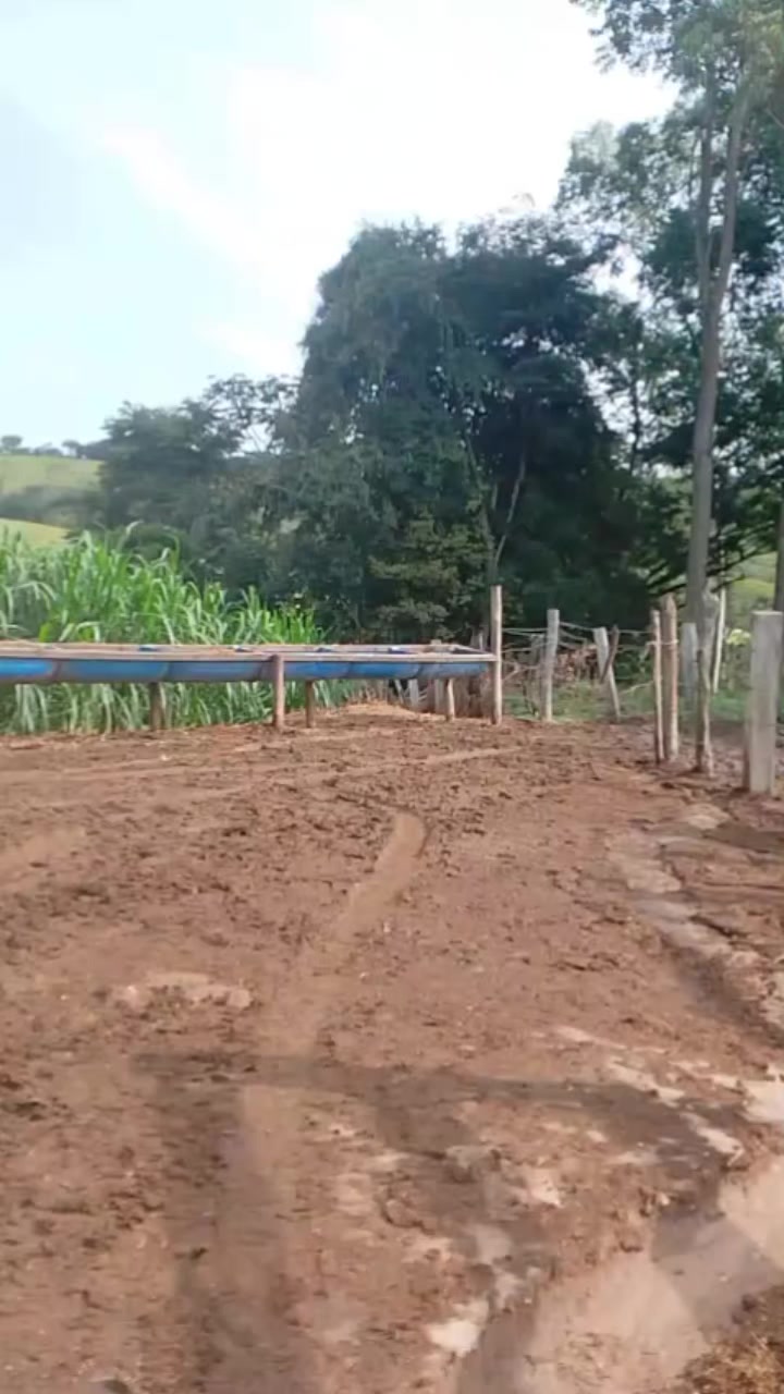 @marketing_do_gado