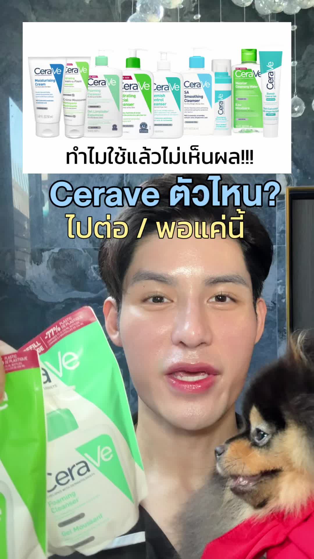 @หนูปอนด์ที่ชอบเลเซ่อร์