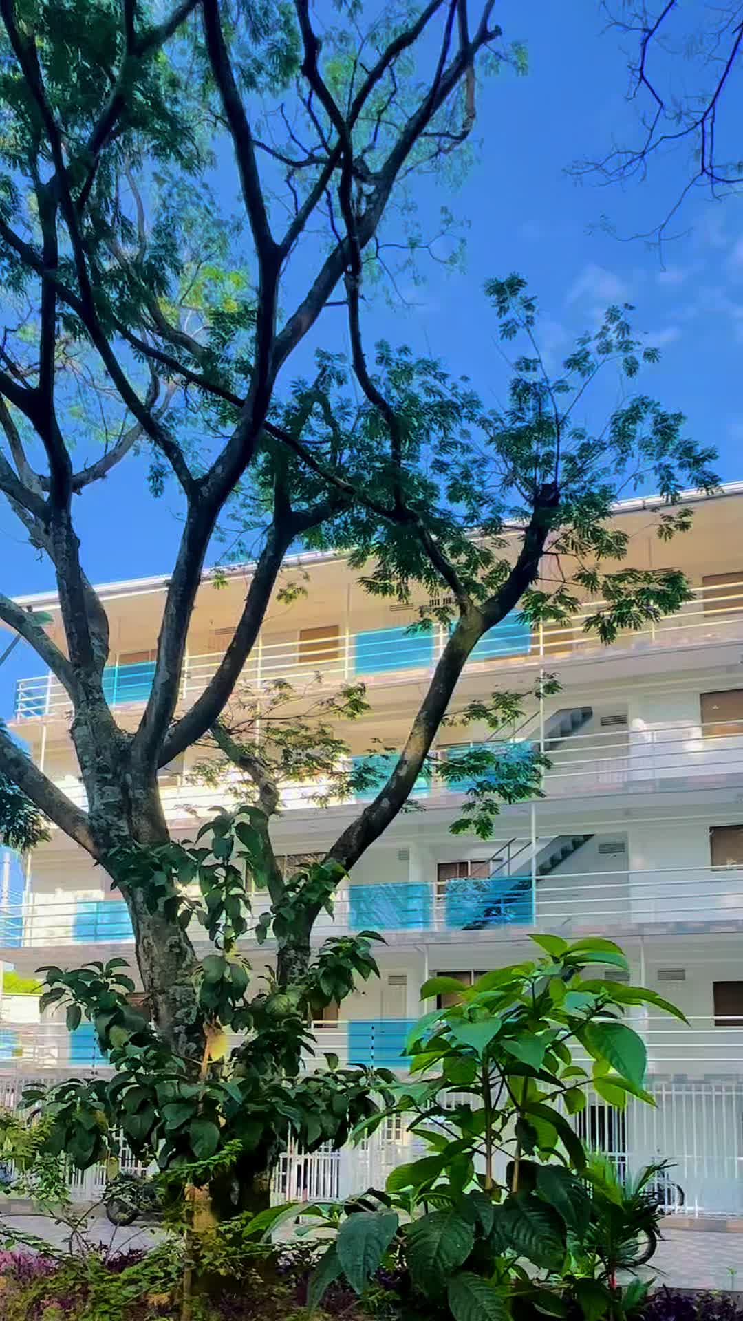 @Edificio Pinares del Ingenio