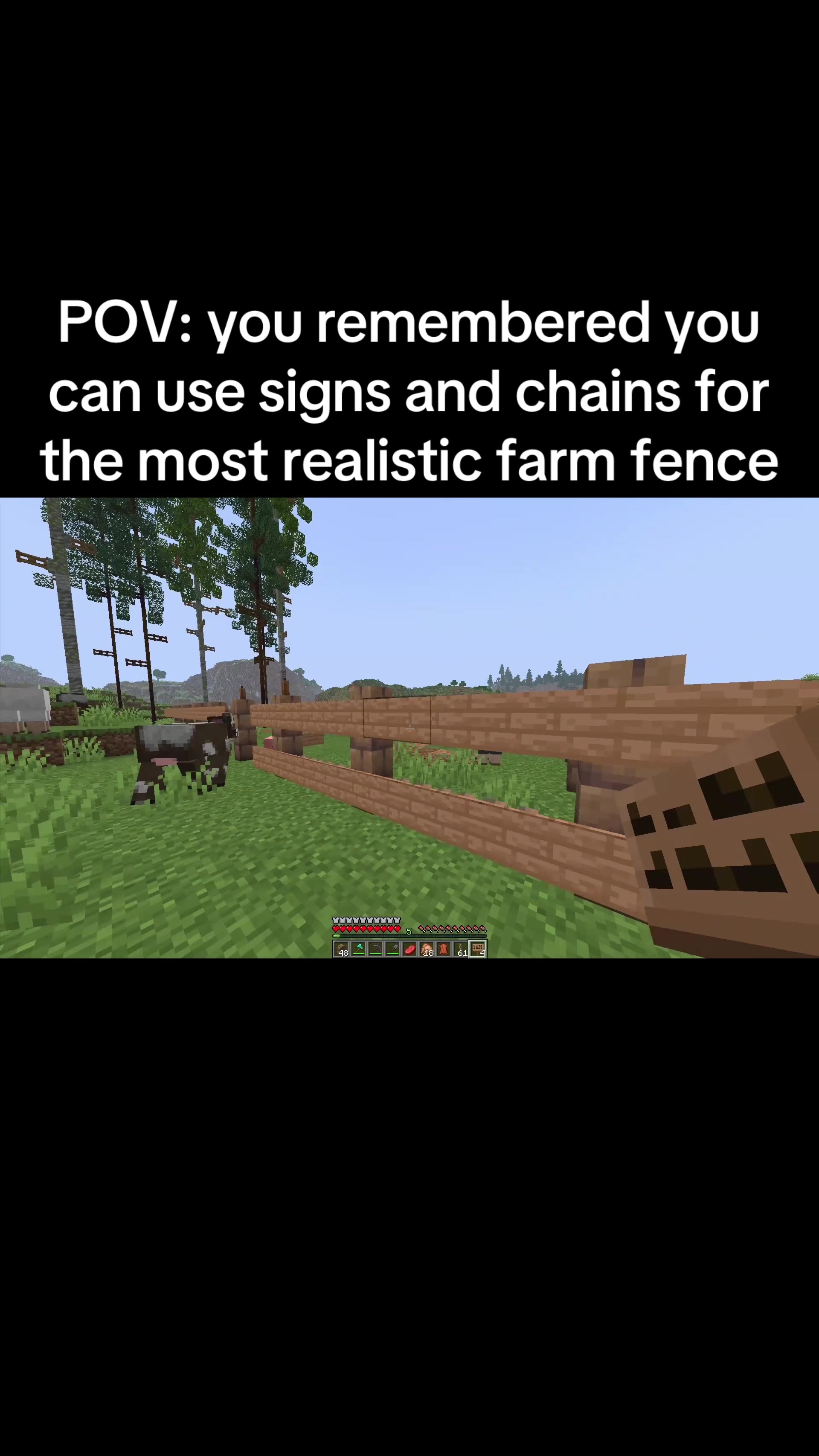 @flzzzzf