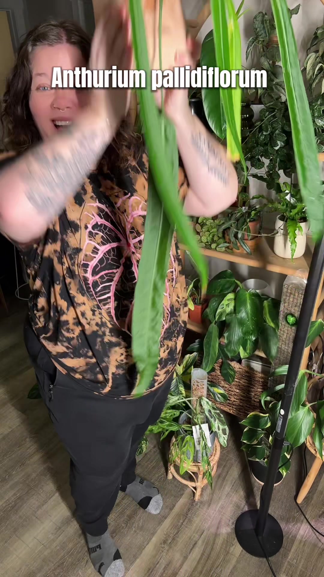 @Ness Rose | Plant Fanatic ✨
