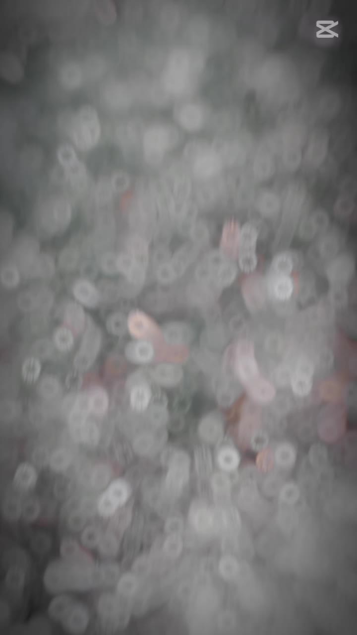 @彡★🆁🅾🆈🅰🅻✘🆈🅰🅳🅰🆅★彡